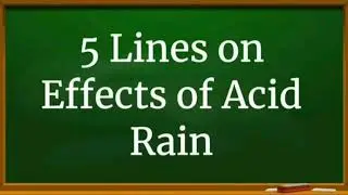 5 Lines on Effects of Acid Rain || English Essay || DaiLYlife Solutions