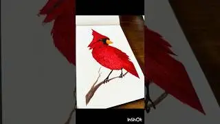 Cardinal watercolor painting #painting #art #watercolor