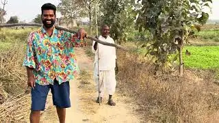 సెనగకాయకాల్చిటింటే | BITHIRISATHI LATEST | FOOD ORIGINALS | #funny #food 