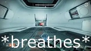 We have that one friend in Destiny 2 (Raid w/ idiot friends)