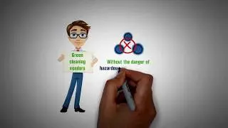 Cleaning Services and Mold Removal & Prevention