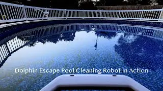 Dolphin Escape Pool Cleaning Robot in Action