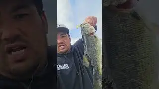 Big bass 2lb test leader and 6lb braid on my ultralight