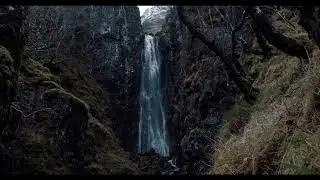 🟡Music for Trading, relax, Sleep Therapy, Delta Waves, Music for Meditation, Do Not Think🟡#&&