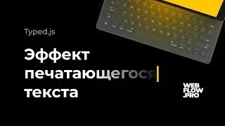 Анимация печатающегося текста в Webflow
