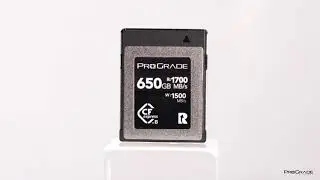 ProGrade Digital 650GB CFexpress Type B Memory Card (COBALT)