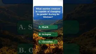 General Knowledge Quiz part 36 | Nature Quiz #GeneralKnowledgeQuiz #NatureQuiz #quiz #challenge
