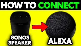 Как подключить Sonos к Alexa (2025) &mdash; шаг за шагом