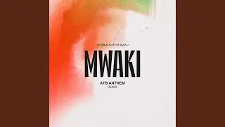 Mwaki (Tiësto's VIP Mix)