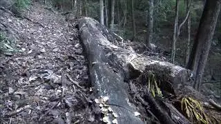 Australian Wilderness Adventures: Episode 013 - Woko National Park