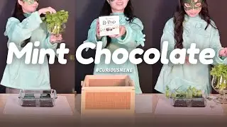 B Pop Mint Chocolate #chocolate #mint #sweet #funny #girl #unbox #food #foodlover
