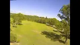 FPV Fox - 13FEB10 - Fox Bird Hunt!