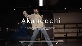 Akanecchi 