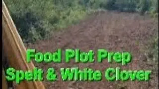 Deer Property Management White Clover food plot raking Spelt Rye grain