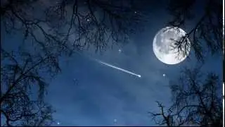 Eupana-The Night The Stars Fell