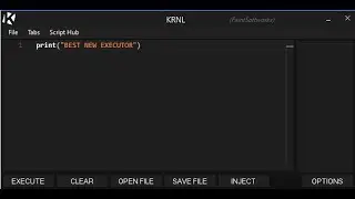 KRNL REBORN **BEST NEW EXECUTOR**