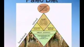 Functional Medicine Approach to Treating Chronic Disease
