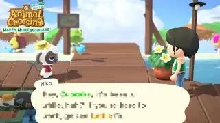 When Niko Judges You for Not Working | Animal Crossing Happy Home Paradise | ACNH DLC