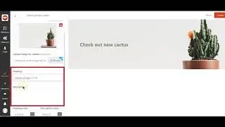Collection Slideshow - Create Slideshow for each collection page