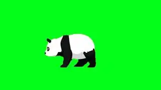 panda#green screen with fun