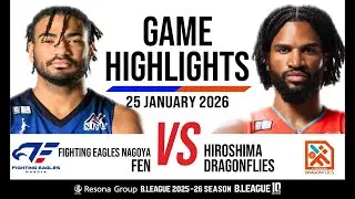 Fighting Eagles Nagoya vs. Hiroshima Dragonflies - Game Highlights