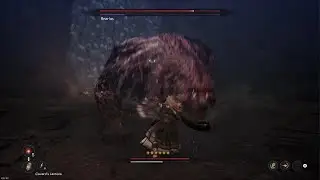 The First Berserker Khazan - Bearius Boss Fight (NO DAMAGE)