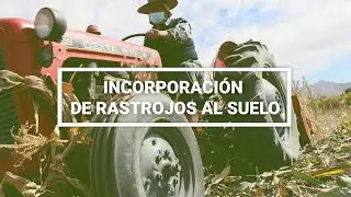 Incorporaci&oacute;n de rastrojos al suelo