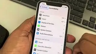 How to turn off switch control in iPhone