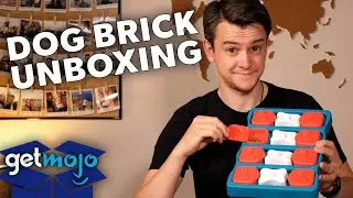 Nina Ottosson by Outward Hound Dog Brick Puzzle Unboxing