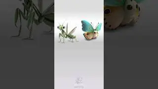 praying mantis + butterflay #animash #gameplay #games #fushion #game #supreme