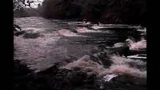 white noise lahave river low res
