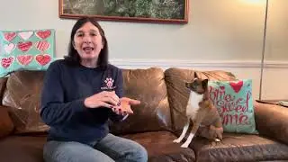 Teaching Leave it