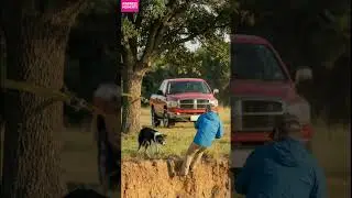 Kindness 🐶 Fisherman Saves Puppy from River Danger #kindness #puppyrescue #shorts