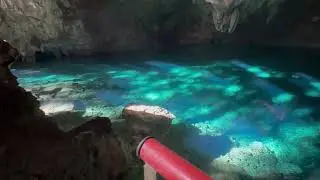 Cenote impresionante, hermoso y un agua cristalina que te dejar&aacute; la piel de gallina 