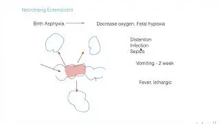 Hope Institute: PRE Lecture Video # Neonatology # NMCLE Preparation Class