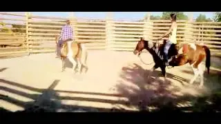 Buckaroo Ranch | Training