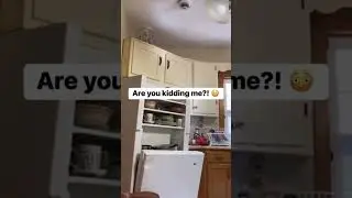 Well dang 🤣 #LOLReels #fblifestyle #funnyvideos