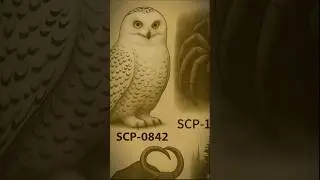 parte 1 animal oddities SCP-0842#scp74.7K#scpfoundation #snowyowl#scpcommunity#scpmonsters