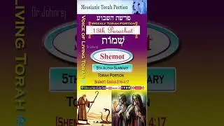Weekly Torah Portion II | 13th Parshah&ndash;Shemot | 5th Aliyah Summary #Torah #BibleStudy #Shorts