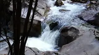 Parque Reloncavi