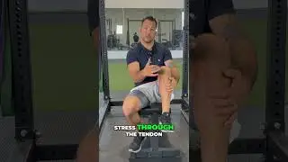 Transform Your Tendons: The Power of Isometric Exercises