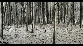 GHS Winter Ecology