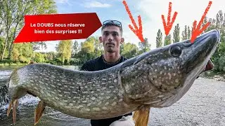 Le DOUBS nous réserve bien des SURPRISES !!! ( 1er métré ? )