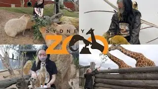 MY DREAM COME TRUE: Capybara Encounter at Sydney Zoo | ft. Meerkats, Squirrel Monkeys and Giraffes