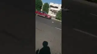 The car on the road killed the cat