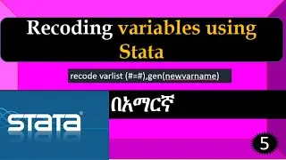 Stata for beginners in Amharic and English|Recoding variables using stata