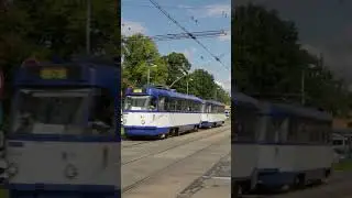Tatra T3 in Riga #tram #publictransport #tatrat3 #transport #riga #lightrail #shorts