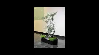 Create a flowing green plant mini forest at home! Lazy person's indoor healing landscape