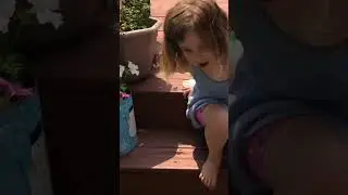 Kids Catch And Learn About Bugs 🪳🪲 #kidstry #nature #bug Link in the description for full video!