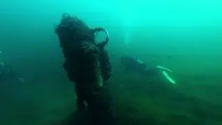 Diver in Panheel